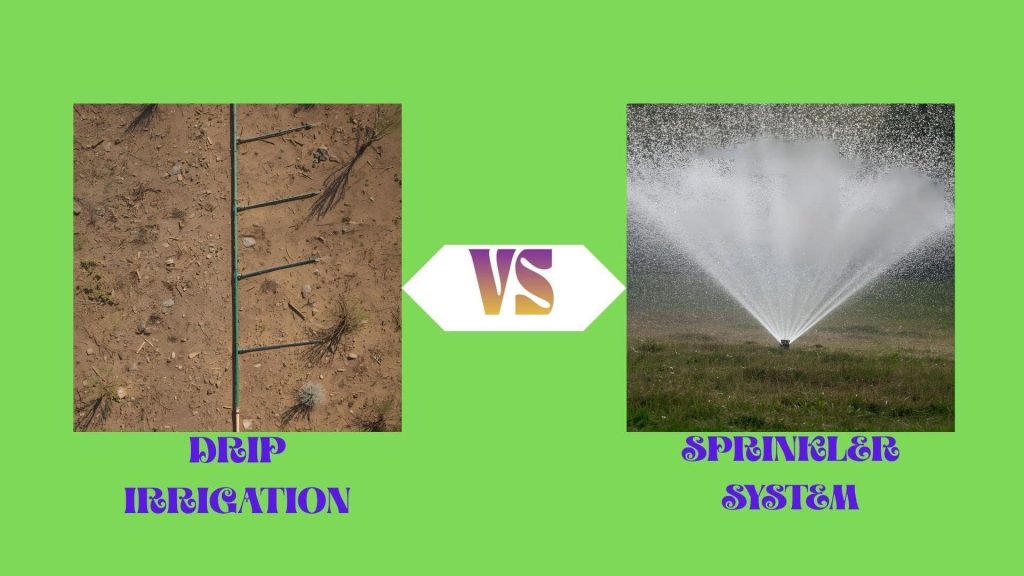 drip irrigation vs sprinkler system in abbeville al